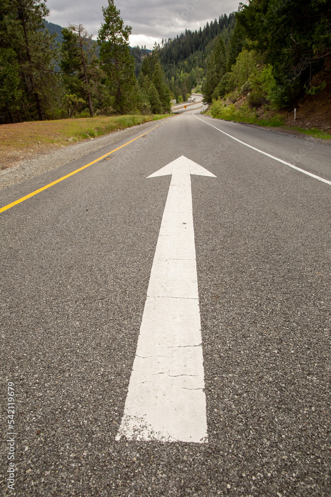 Painted arrow on road through green forest Painted arrow on road through green forest