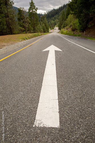 Wallpaper Mural Painted arrow on road through green forest Torontodigital.ca