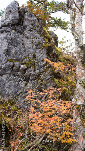 日本の秋の登山　剣山の秋の風景 © IEPPEI