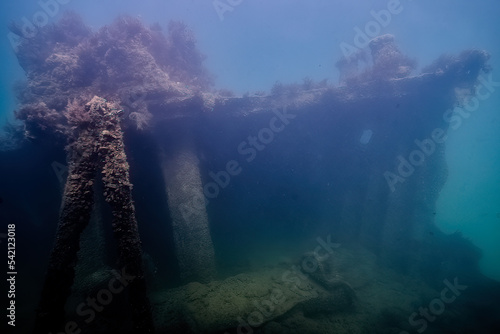 underwater view of the remains of a sunken ship covered in algae. sea       view underwater