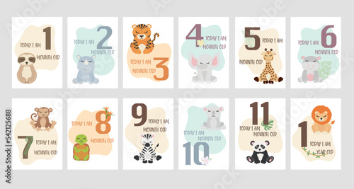 Fototapeta Naklejka Na Ścianę i Meble -  Newborn baby Milestone card. Baby Milestone cards with Safari animals - giraffe, elephant, tiger, hippo, panda, koala, sloth, rhinoceros, turtle, lion, zebra and monkey. 1-11 months and 1 year. 