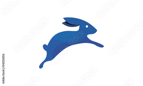 jumping rabbit