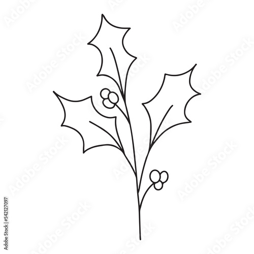 Hand drawn minimalist holly berry mistletoe branch with leaves and berries. Black contour line outline vector illutration in minimal doodle style. Winter holidays floral clip art, greenery