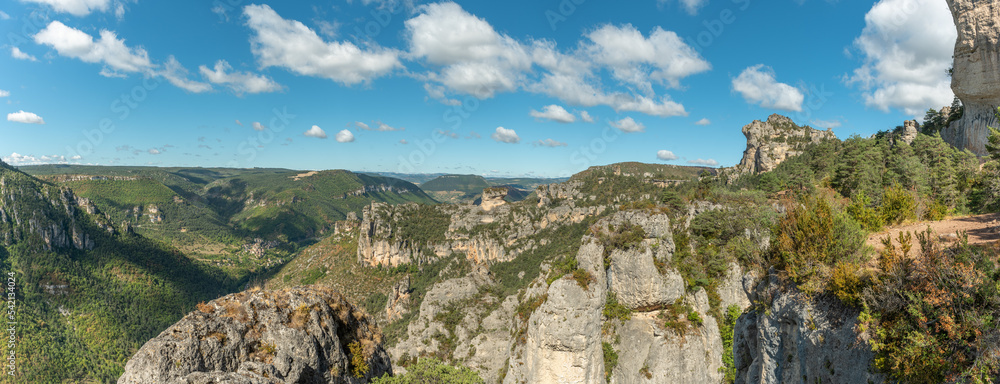 Landscape of a wild and preserved valley, canyon in the Cevennes national park. Gorges de la Jonte.