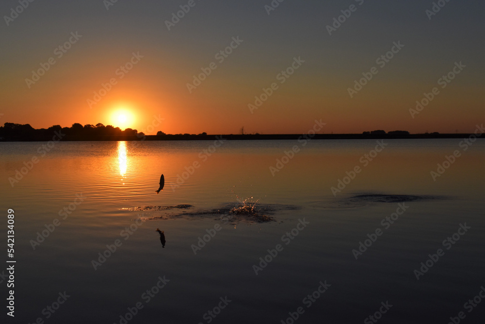 sunset on the river