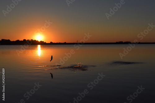 sunset on the river