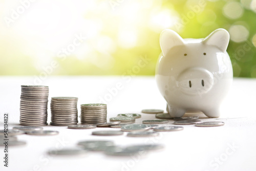Money coins stack growing graph and piggy bank nature background, business concept. Save money for prepare in the future.