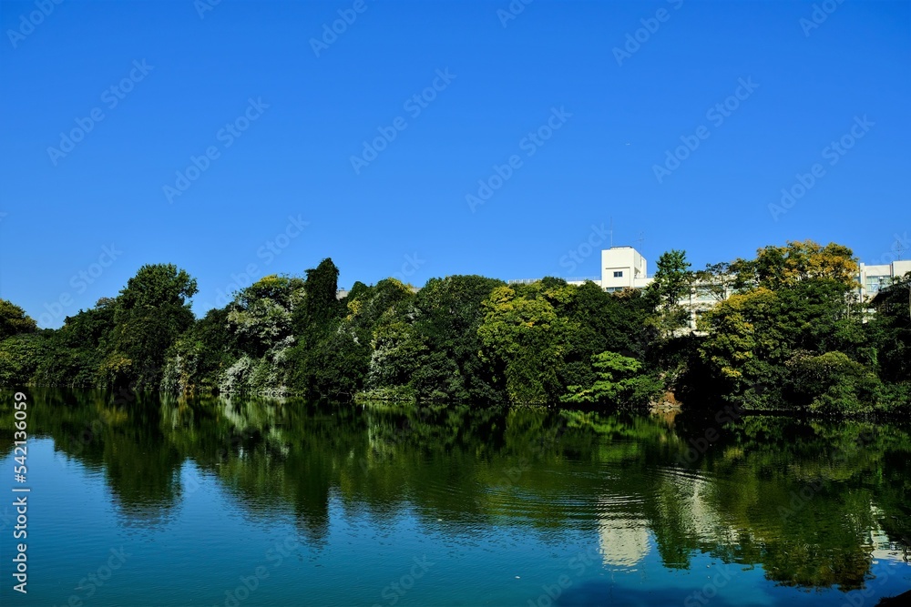 奈良県の城，郡山城跡，郡山城天守台展望施設，日本100名城，, 建築, 旅行, 空, 木, 道, 風景, 景色, 観光, 自然