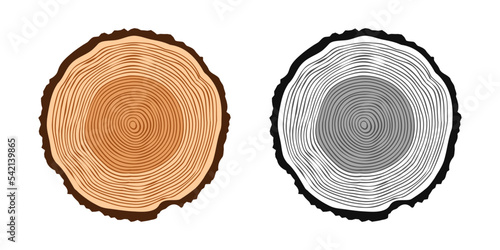 Round tree trunk cuts in various colors, sawn pine or oak slices, lumber. Saw cut timber, wood. Brown wooden texture with tree rings. Hand drawn sketch. Vector illustration