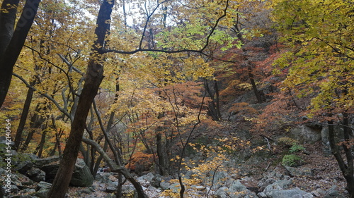 Yongmunsan Mountain in Yangpyeong, Gyeonggi-do. hiking in Korea. Korean mountains in autumn - Maple photo