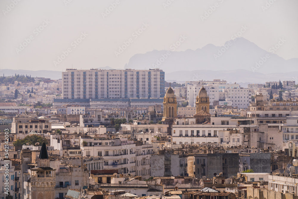 Fototapeta premium Tunis - Various views from the rooftops - Tunisia