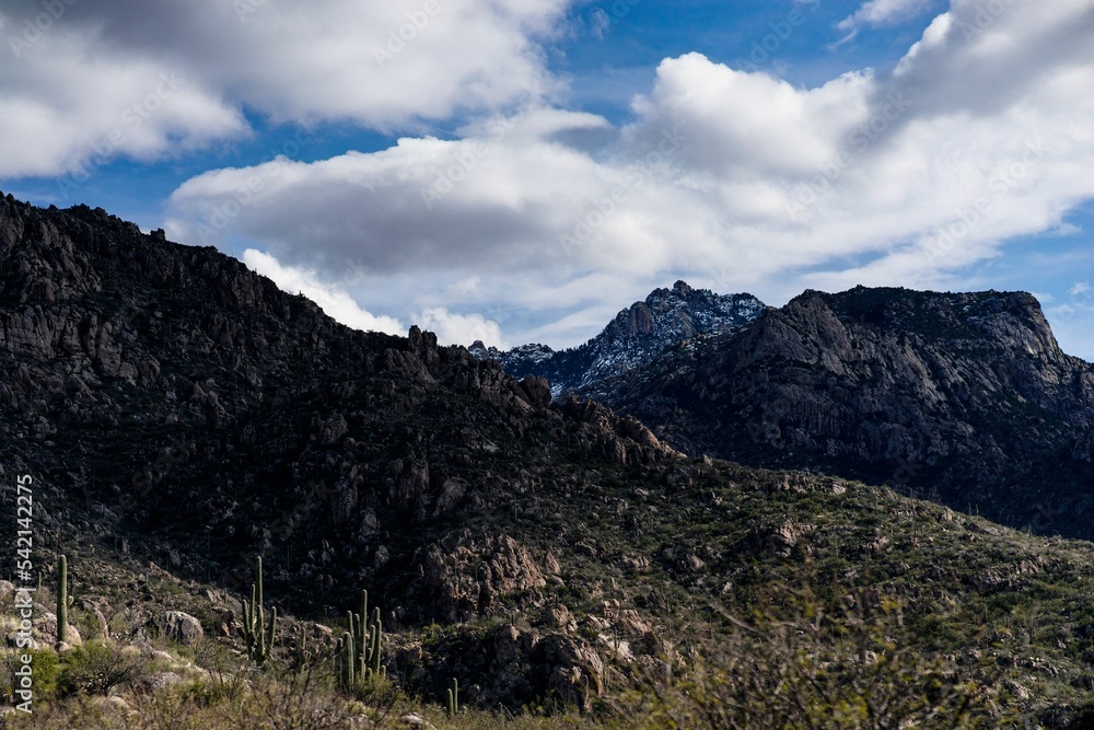Scenic view of the landscape of the Catalina State Park in Arizona, USA Scenic view of the landscape of the Catalina State Park in Arizona, USA