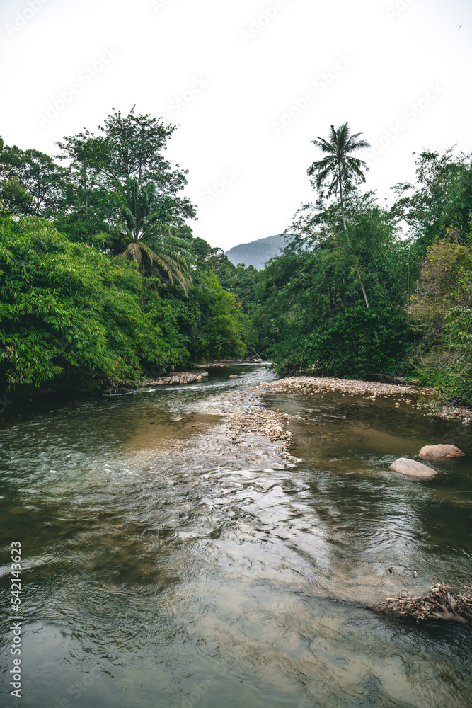 Wide river going through the rainforest trees. Wide river going through the rainforest trees.