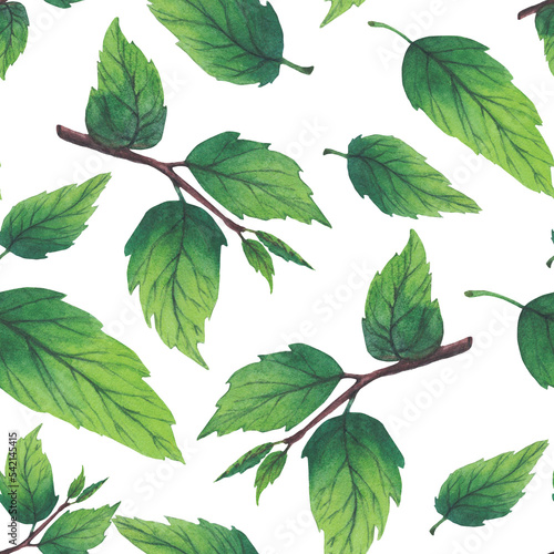 Pattern of watercolor plum tree branches with green leaves and fruits.