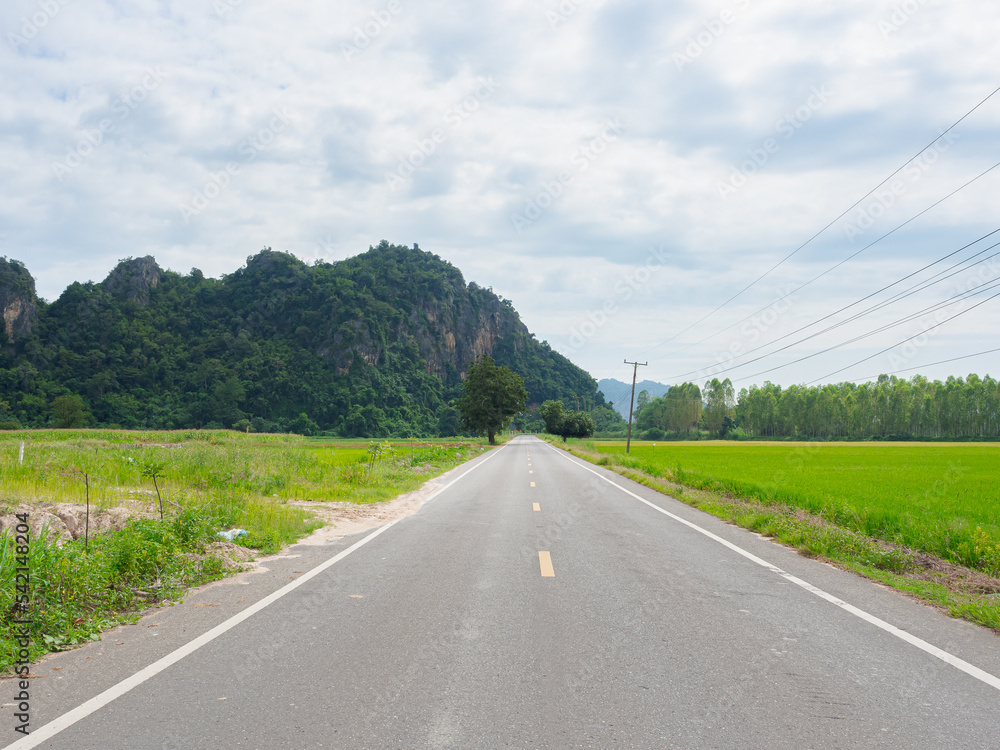 Empty grey asphalt road between mountains and fresh meadows on cloudy sky background.