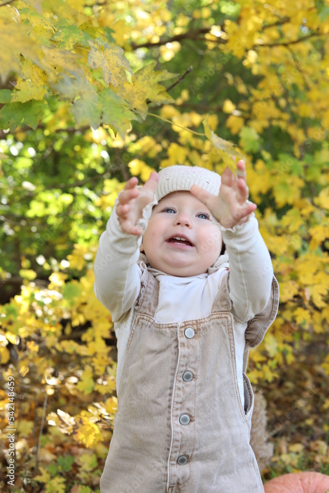 little girl in in autumn park little girl in in autumn park