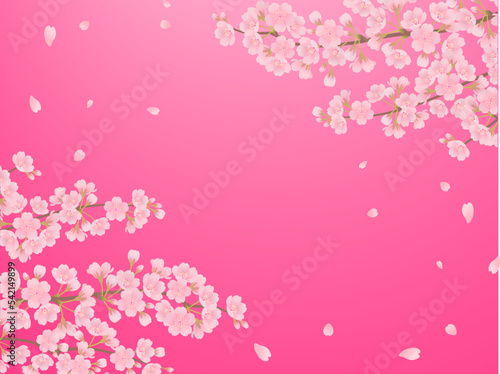 満開の桜_フレーム_ベクターイラスト
