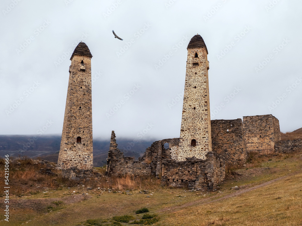 Battle towers Erzi in the Jeyrah gorge. Medieval tower complex Erzi, one of the largest medieval castle-type tower villages, located on the extremity of the mountain range in Ingushetia, Russia.