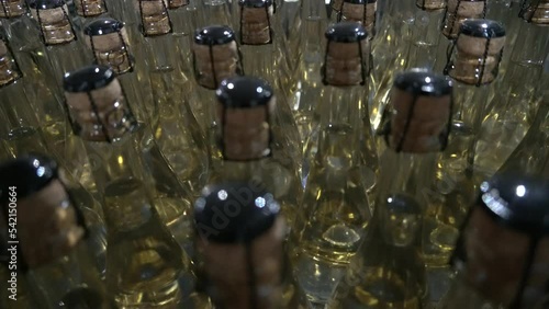 vine cellar vine bottles light dance