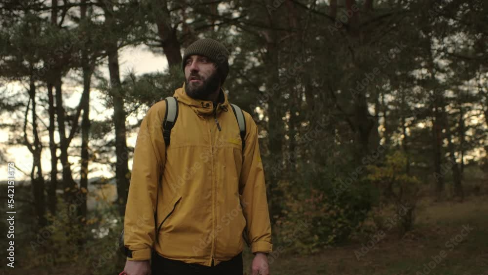 Hiker with backpack and equipment walking through forest. Hiker with backpack and equipment walking through forest.