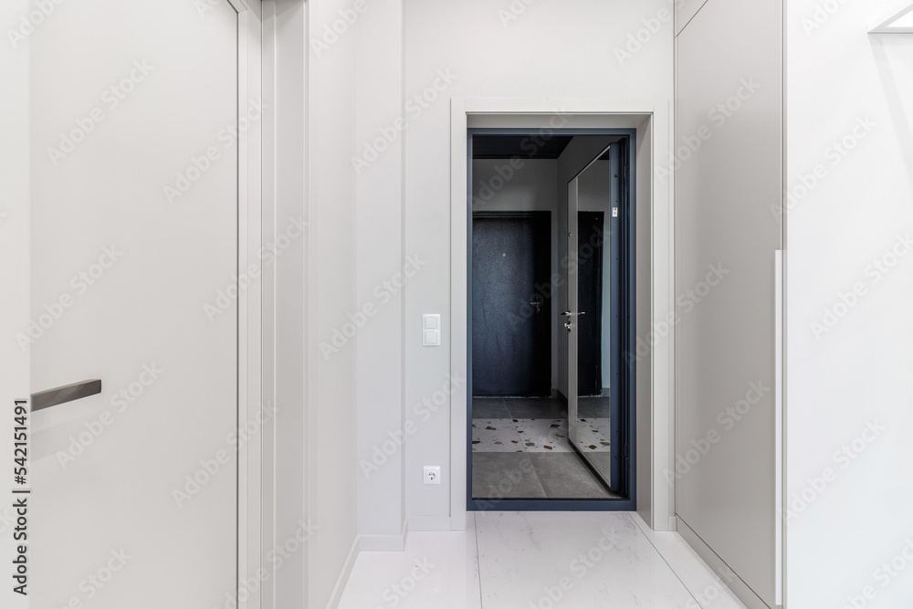 Fototapeta premium Interior and entrance doors in the new apartment.