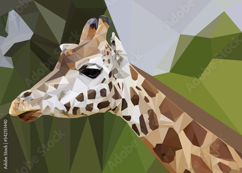 Canvas Print giraffe