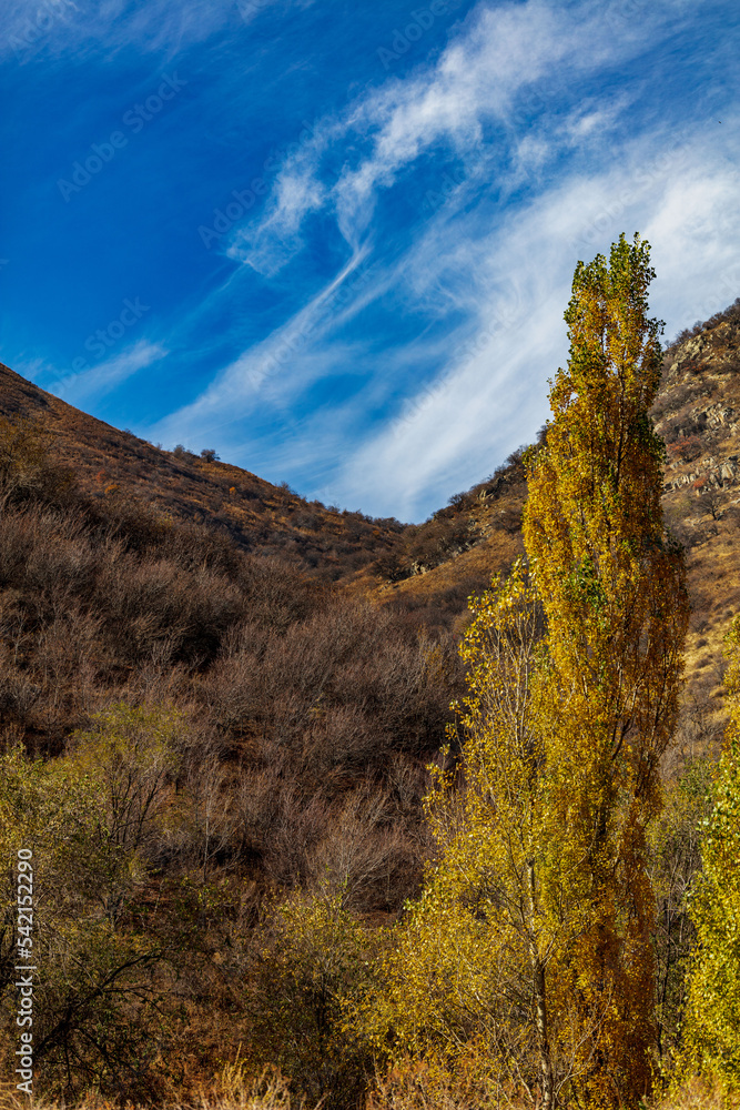 autumn in the mountains autumn in the mountains
