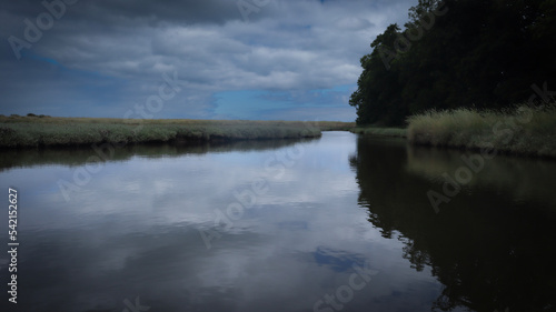 reflection of trees on the lake