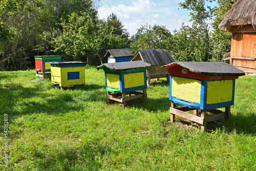 Wooden colorful beehives in a meadow on a summer day © vivoo