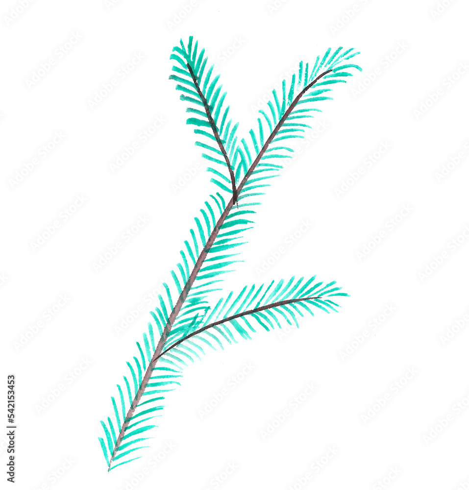 Naklejka premium Hand-drawn fir branch.Isolated illustration in png.Decorative element for the design of invitations,Christmas cards,banners,promotional materials