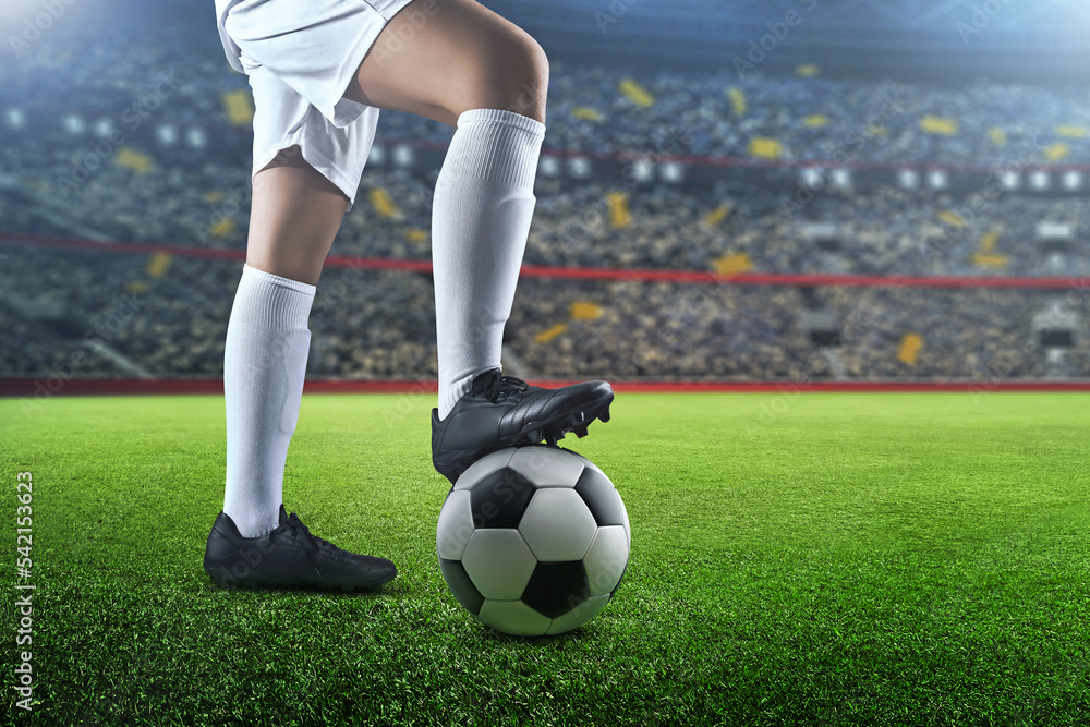 Fototapeta premium Soccer player on grass stadium