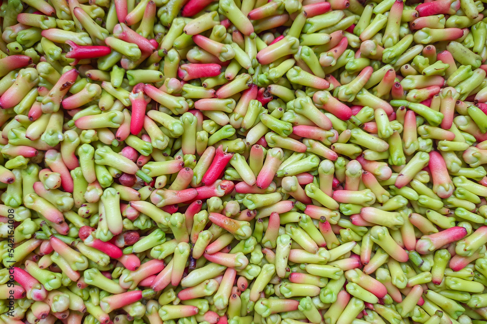 a stretch of fresh cloves a stretch of fresh cloves