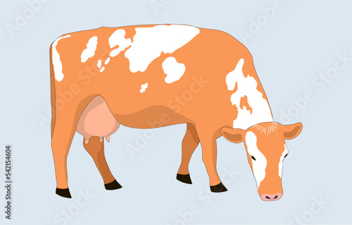 A cash cow is grazing in a field, eating grass. Milkmaid in the meadow. A plant that feeds on organic meadows. isolated flat vector illustration of a dairy farm