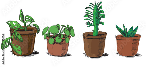 set of indoor plants illustration Pilea home garden house plant Chinese money plant, monkey leaf, succulent drawing gardening isolated on white background