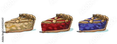 set of different flavours pie cake autumn puff pastry vector drawing dessert sweet illustration sugar food isolated on white background