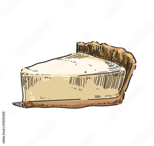 vanilla slice cheesecake colored vector drawing dessert sweet illustration sugar food isolated on white background