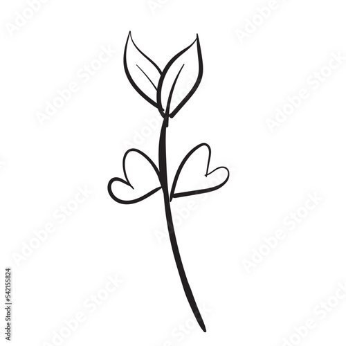 floral line art flower illustration