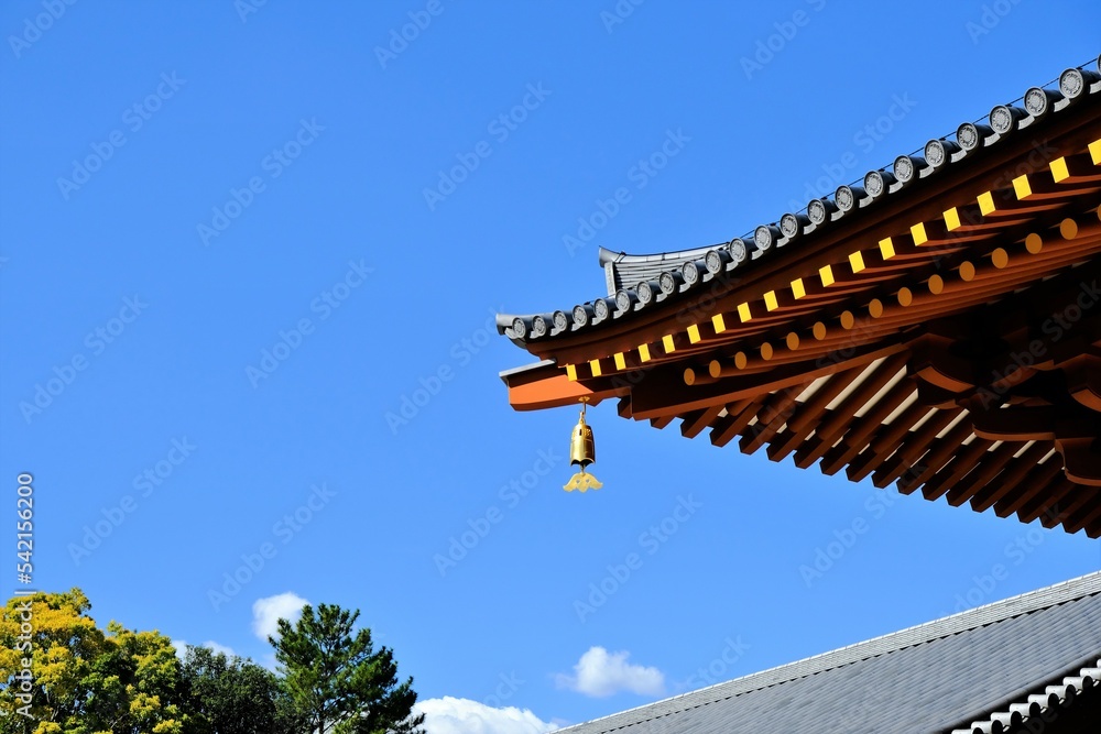 奈良、薬師寺,寺院、日本古来の建築物、伝統的な建築物、木造、ビデオ映像 奈良、薬師寺,寺院、日本古来の建築物、伝統的な建築物、木造、ビデオ映像