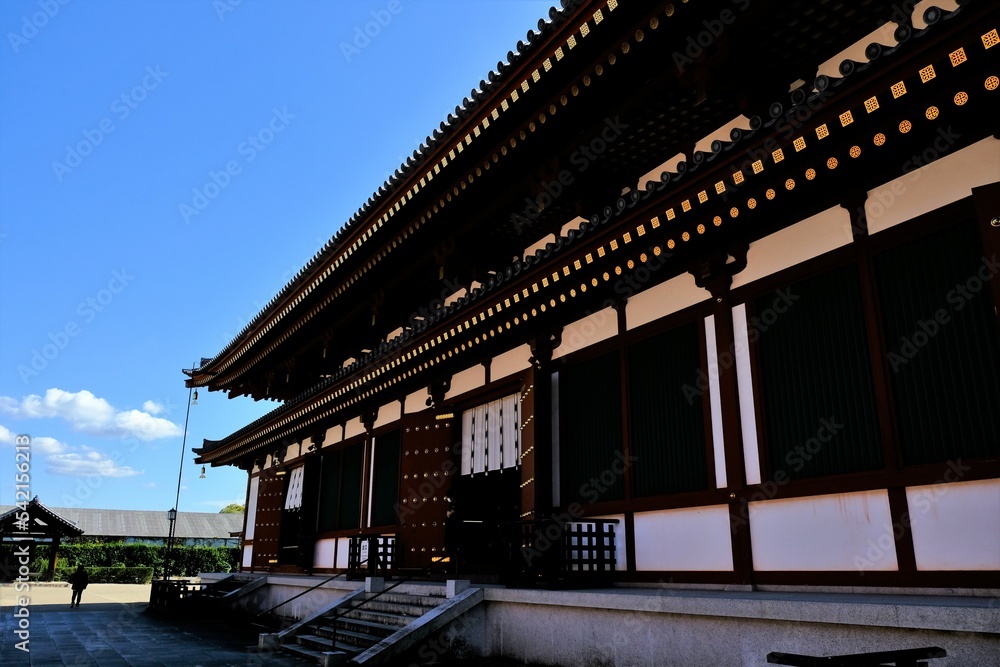 奈良、薬師寺，寺院、日本古来の建築物、伝統的な建築物、木造、ビデオ映像