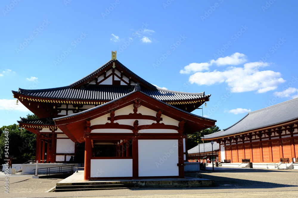 奈良，薬師寺，寺， 日本の建築物，木造，空、伝統、日本の文化