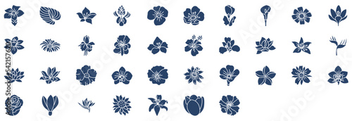 Collection of icons related to Flowers, including icons like Iris, Poppy, Snowdrop, Rose and more. vector illustrations, Pixel Perfect set