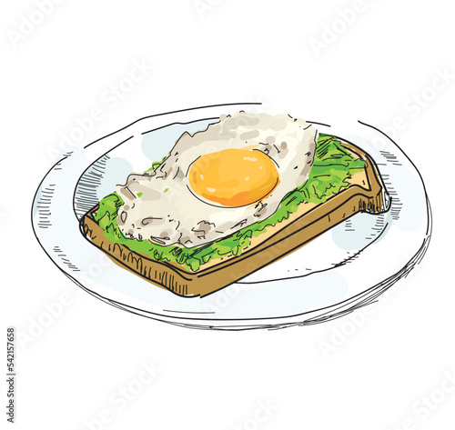 breakfast avocado avo toast with egg bread homemade brunch food eggs restaurant illustration on white background