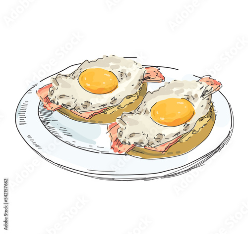 breakfast eggs benedict popular fried egg toast bread homemade brunch food eggs restaurant illustration on white background