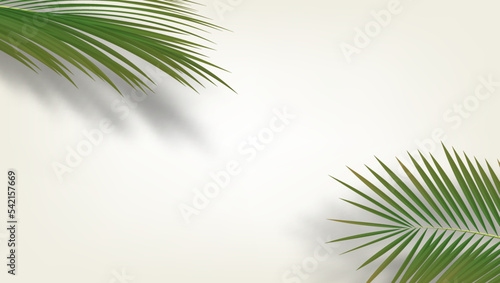 3D Palm Branches With Shadows In The Corners