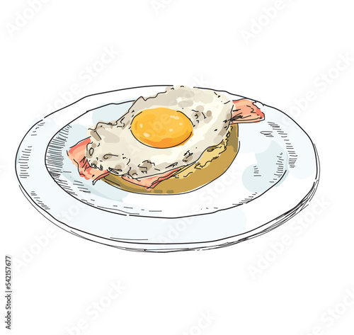 breakfast eggs benedict popular fried egg toast bread homemade brunch food eggs restaurant illustration on white background