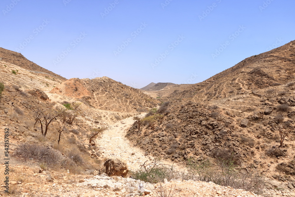 Landscape with Frankincense trees in Dhofar mountains, Oman Landscape with Frankincense trees in Dhofar mountains, Oman