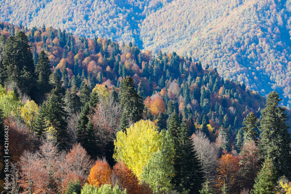 Beautiful autumn landscape in the mountains. Golden autumn. Colorful forest on the slopes of steep mountains.