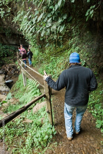 Vertical shot of People walking along jungle path