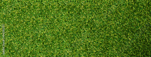 Green grass texture background grass garden concept used for making green background football pitch, Grass Golf, green lawn pattern textured background...