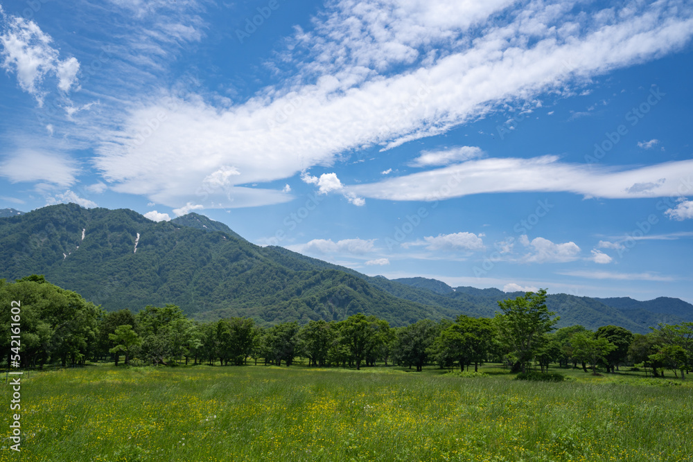 Fototapeta premium 夏の筋状の雲が美しい妙高高原の景色